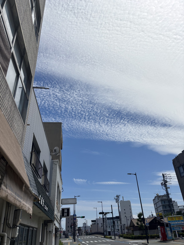 徳島市