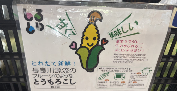 郡上・美濃・関