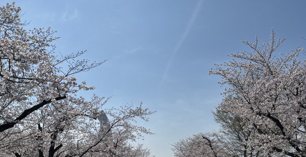 神戸・有馬・六甲