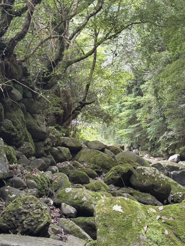 河内長野市