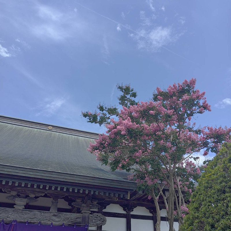 秋田市