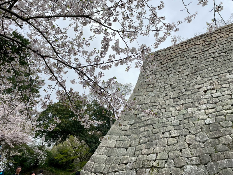 丸亀市