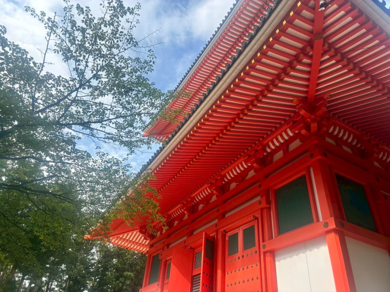 高野町