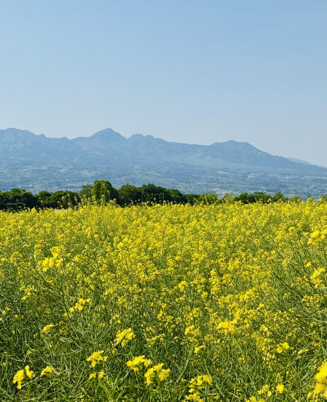 高崎市