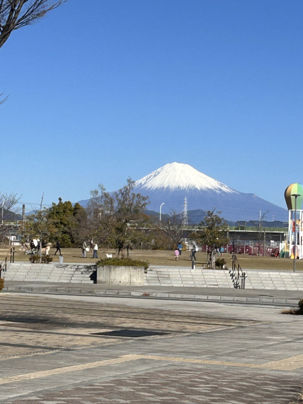 静岡市