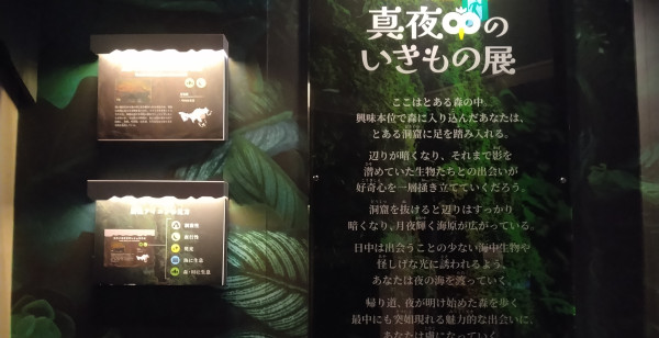 観光・レジャー 東京都 サンシャイン水族館