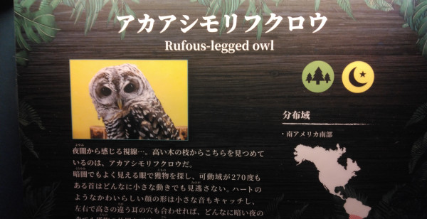 池袋・目白・赤羽