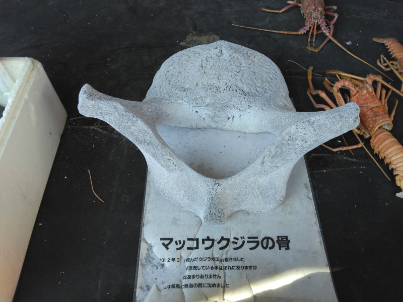 熱海市