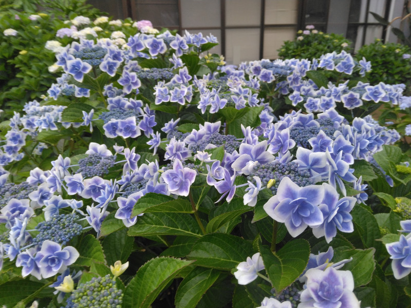 熱海市