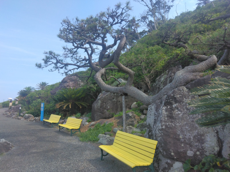 熱海市