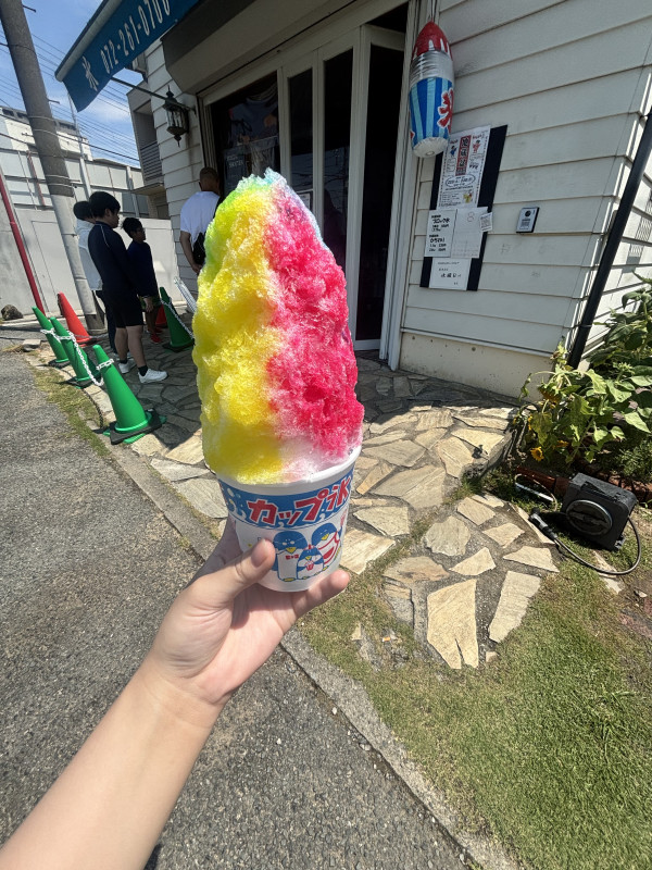 堺市