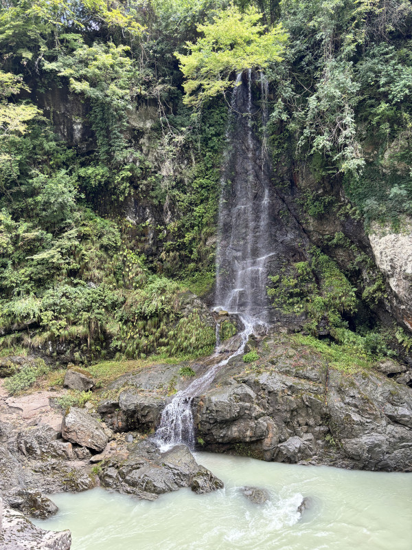 白山市