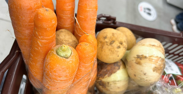 グルメ・お店 高知県 高知市