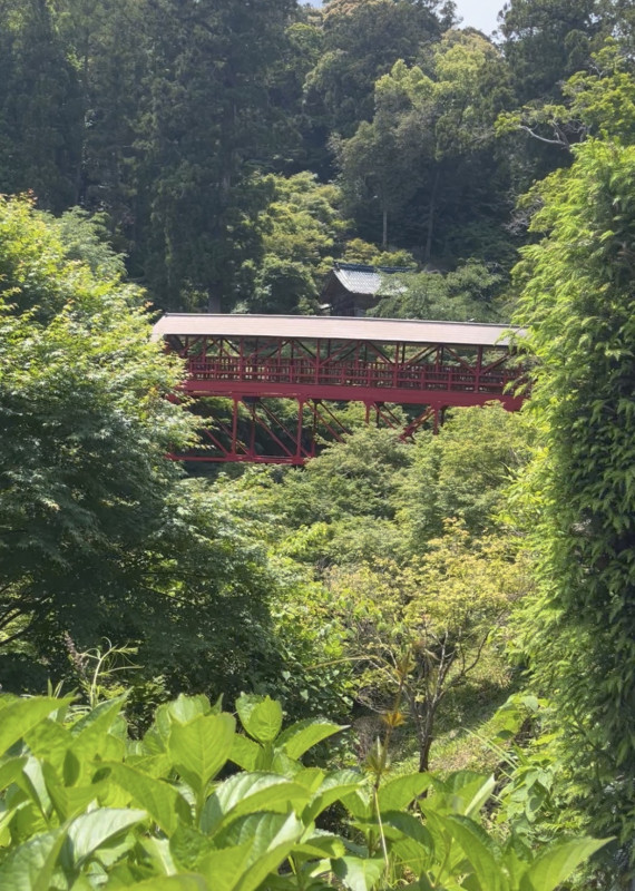 浜松市