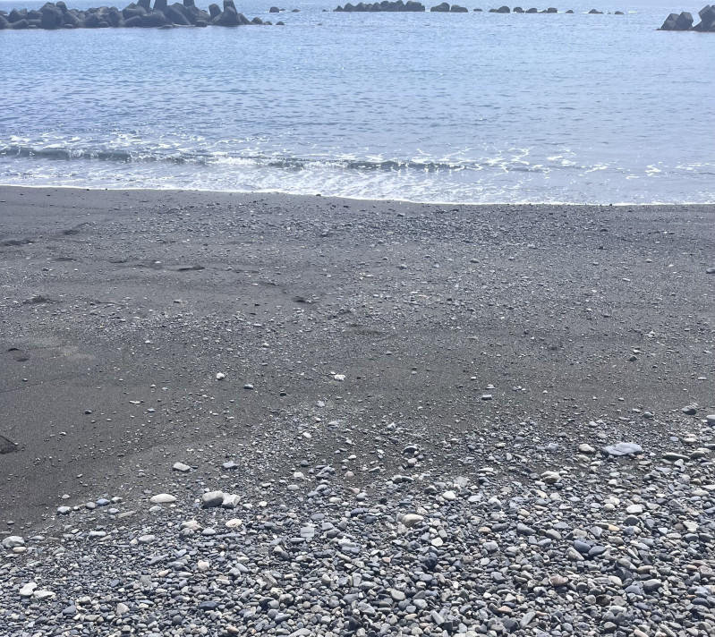 静岡市