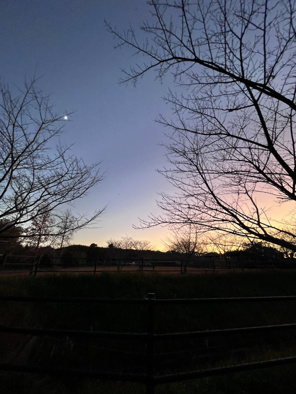 菊川市