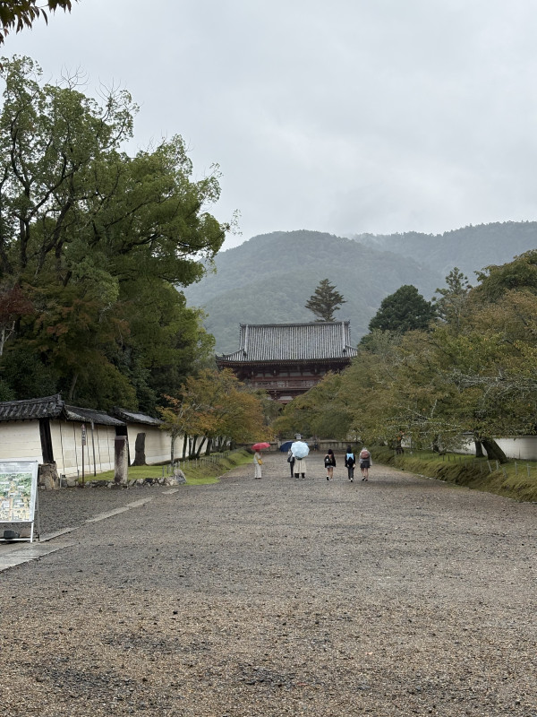 京都市