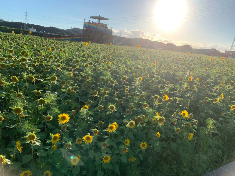 大任町