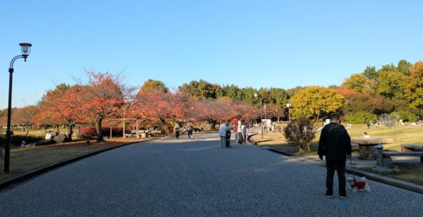 新潟市・阿賀野川