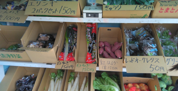 グルメ・お店 熊本県 飽田