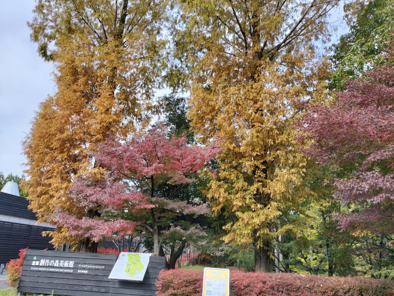 あわら市