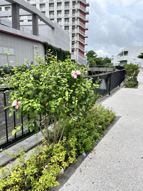 那覇市