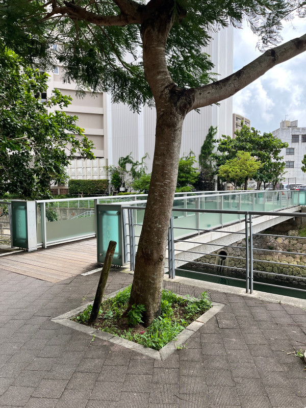 那覇市