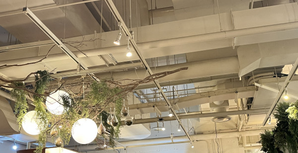 神戸・有馬・六甲