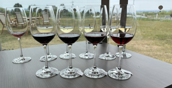 砺波・南砺・小矢部