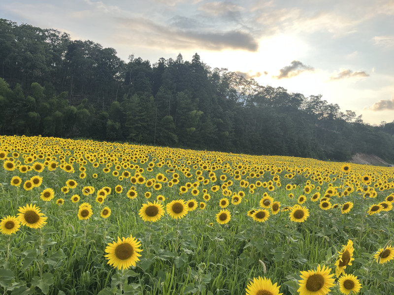 小松市