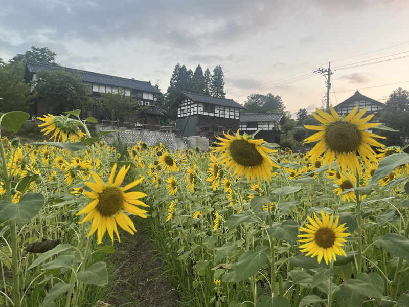 金沢市