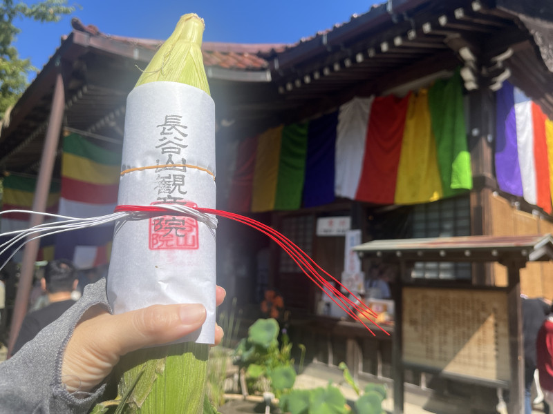 金沢市