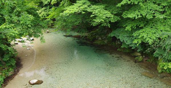 観光・レジャー 栃木県 百村