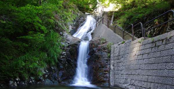 観光・レジャー 新潟県 阿賀町
