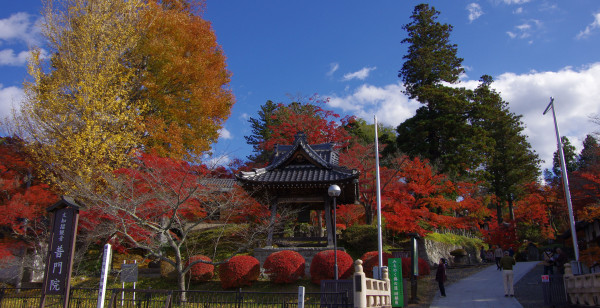 福島市・二本松