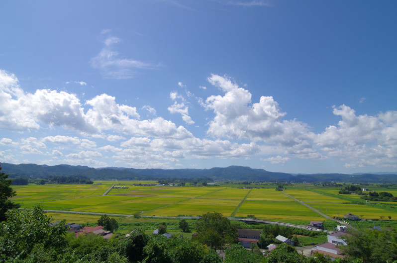 丸森町