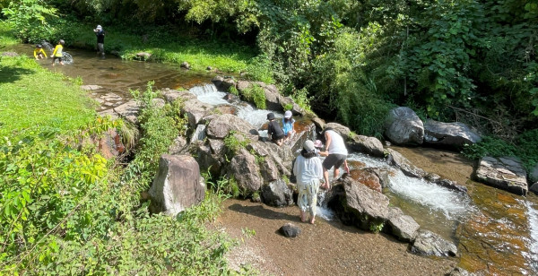 観光・レジャー 鳥取県 別所川渓流植物園