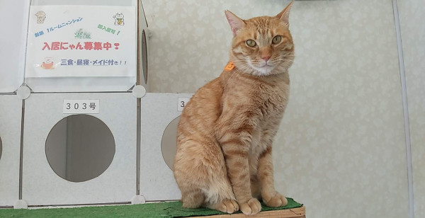 長崎県