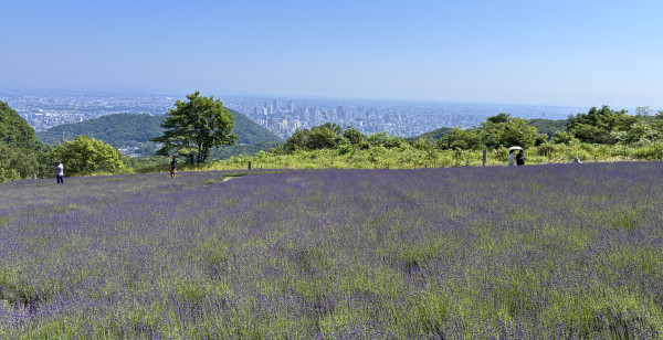 札幌