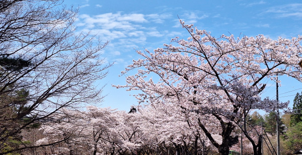 岩手県