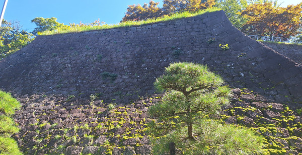 観光・レジャー 岩手県 盛岡城跡
