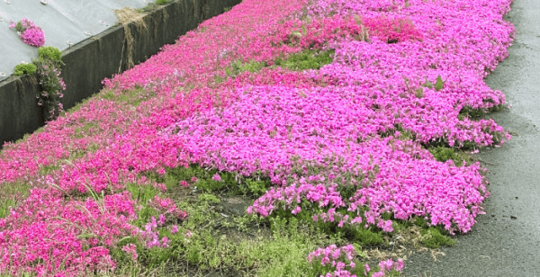 田沢湖・角館・大曲