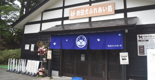 秋田市