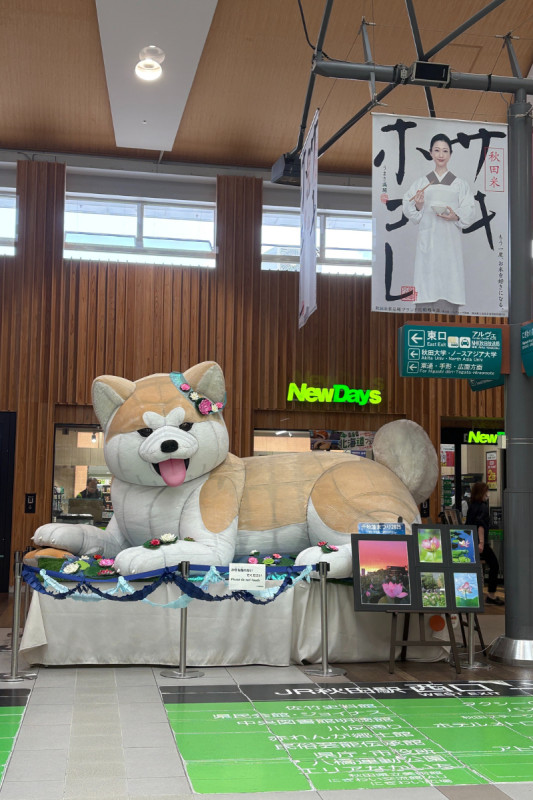 秋田市