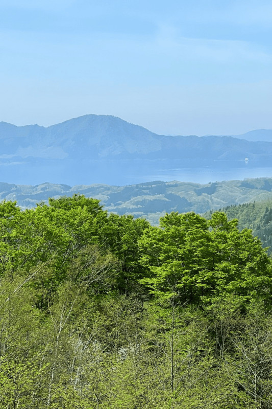 仙北市