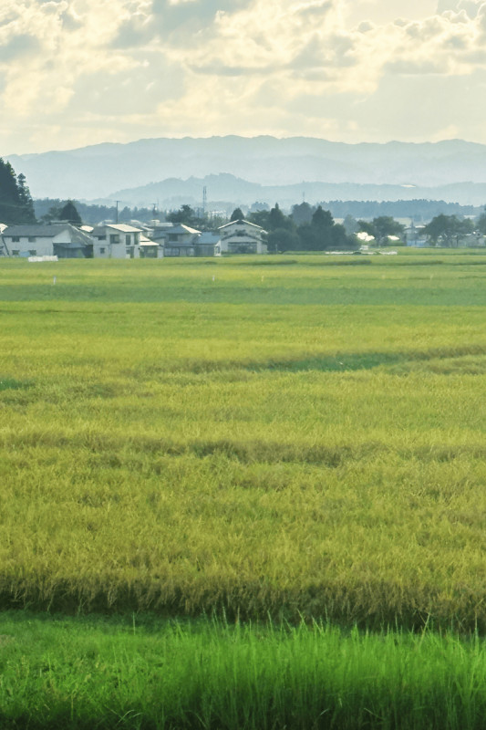 横手市