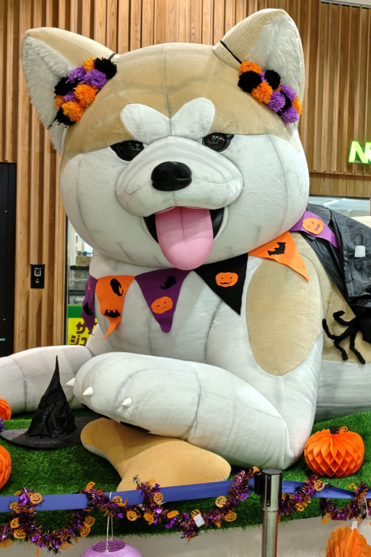 秋田市