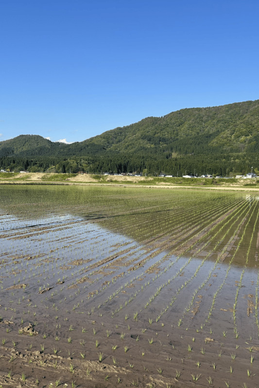 湯沢市
