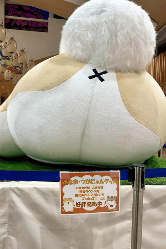秋田市