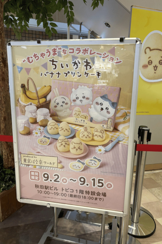 秋田市
